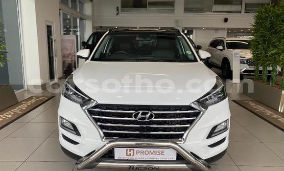 Sayi Na hannu Hyundai Tucson White Mota in Maseru a Maseru Sayi Na hannu Hyundai Tucson White Mota in Maseru a Maseru