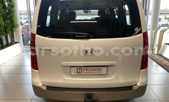 اشتري مستعمل Hyundai H1 White سيارة في Maseru في Maseru اشتري مستعمل Hyundai H1 White سيارة في Maseru في Maseru