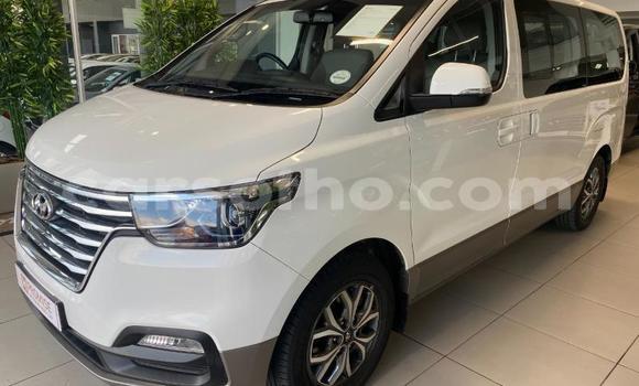 اشتري مستعمل Hyundai H1 White سيارة في Maseru في Maseru اشتري مستعمل Hyundai H1 White سيارة في Maseru في Maseru