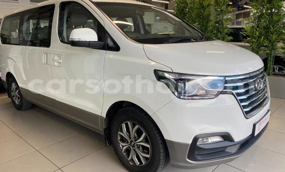 اشتري مستعمل Hyundai H1 White سيارة في Maseru في Maseru اشتري مستعمل Hyundai H1 White سيارة في Maseru في Maseru