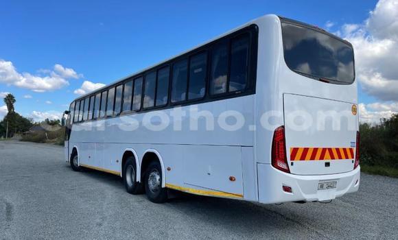 Buy Used Man Silent White Truck in Maseru in Maseru Buy Used Man Silent White Truck in Maseru in Maseru