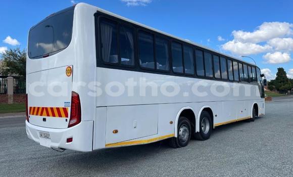 Buy Used Man Silent White Truck in Maseru in Maseru Buy Used Man Silent White Truck in Maseru in Maseru