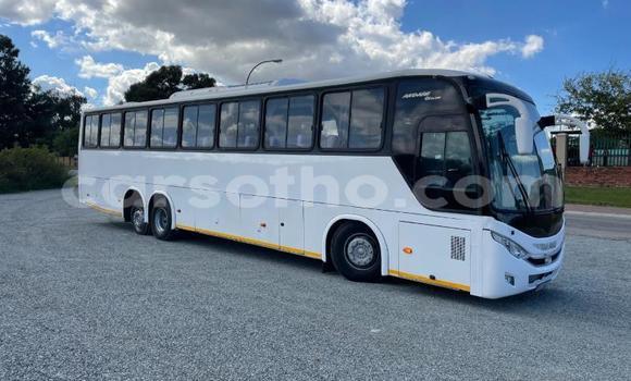 Buy Used Man Silent White Truck in Maseru in Maseru Buy Used Man Silent White Truck in Maseru in Maseru