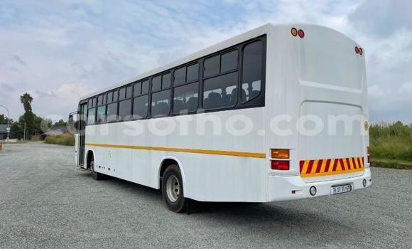 Buy Used Iveco Daily White Truck in Maseru in Maseru Buy Used Iveco Daily White Truck in Maseru in Maseru