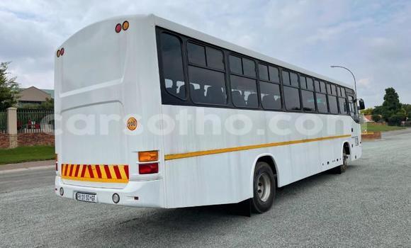 Buy Used Iveco Daily White Truck in Maseru in Maseru Buy Used Iveco Daily White Truck in Maseru in Maseru