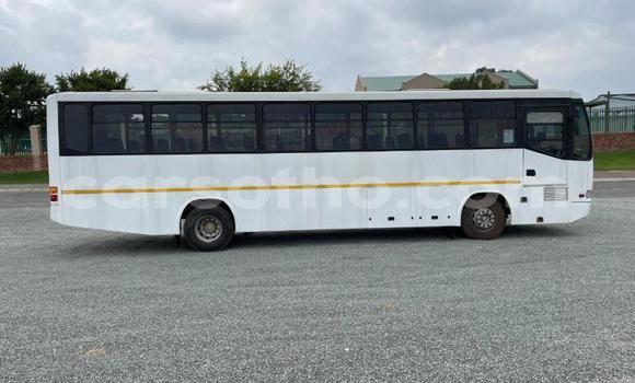 Buy Used Iveco Daily White Truck in Maseru in Maseru Buy Used Iveco Daily White Truck in Maseru in Maseru