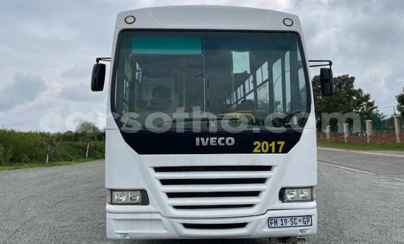 Buy Used Iveco Daily White Truck in Maseru in Maseru Buy Used Iveco Daily White Truck in Maseru in Maseru