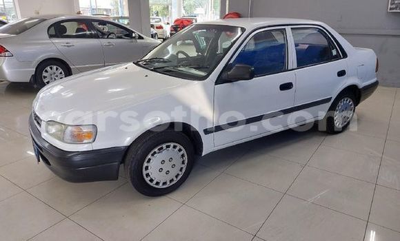 اشتري مستعمل Toyota Corolla White سيارة في Maseru في Maseru اشتري مستعمل Toyota Corolla White سيارة في Maseru في Maseru