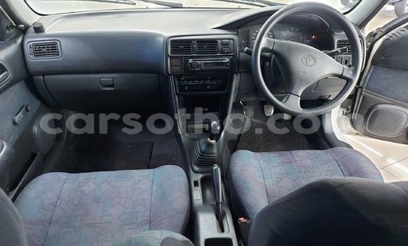 اشتري مستعمل Toyota Corolla White سيارة في Maseru في Maseru اشتري مستعمل Toyota Corolla White سيارة في Maseru في Maseru