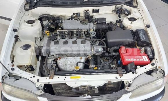 اشتري مستعمل Toyota Corolla White سيارة في Maseru في Maseru اشتري مستعمل Toyota Corolla White سيارة في Maseru في Maseru
