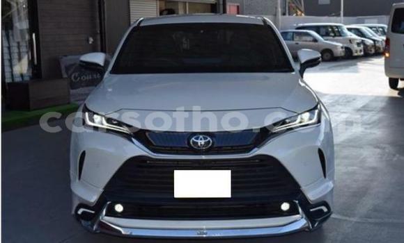 اشتري مستعمل Toyota Harrier White سيارة في Maseru في Maseru اشتري مستعمل Toyota Harrier White سيارة في Maseru في Maseru