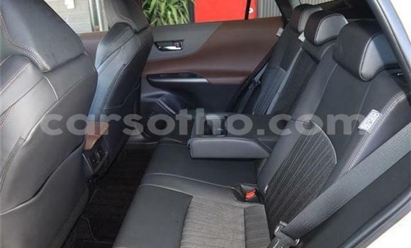 اشتري مستعمل Toyota Harrier White سيارة في Maseru في Maseru اشتري مستعمل Toyota Harrier White سيارة في Maseru في Maseru