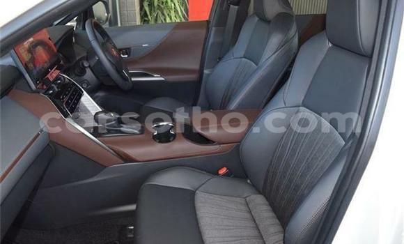 اشتري مستعمل Toyota Harrier White سيارة في Maseru في Maseru اشتري مستعمل Toyota Harrier White سيارة في Maseru في Maseru