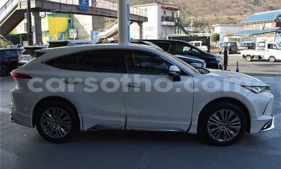 اشتري مستعمل Toyota Harrier White سيارة في Maseru في Maseru اشتري مستعمل Toyota Harrier White سيارة في Maseru في Maseru