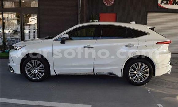 اشتري مستعمل Toyota Harrier White سيارة في Maseru في Maseru اشتري مستعمل Toyota Harrier White سيارة في Maseru في Maseru