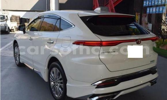 اشتري مستعمل Toyota Harrier White سيارة في Maseru في Maseru اشتري مستعمل Toyota Harrier White سيارة في Maseru في Maseru