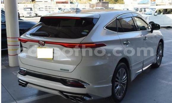 اشتري مستعمل Toyota Harrier White سيارة في Maseru في Maseru اشتري مستعمل Toyota Harrier White سيارة في Maseru في Maseru