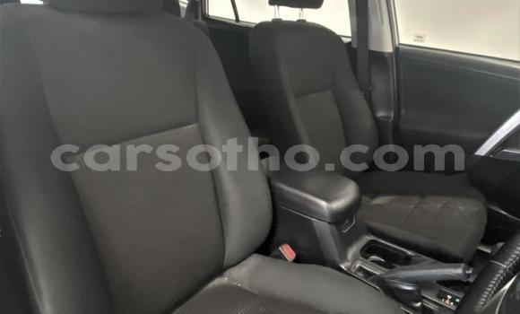 اشتري مستعمل Toyota RAV4 Silver سيارة في Maseru في Maseru اشتري مستعمل Toyota RAV4 Silver سيارة في Maseru في Maseru