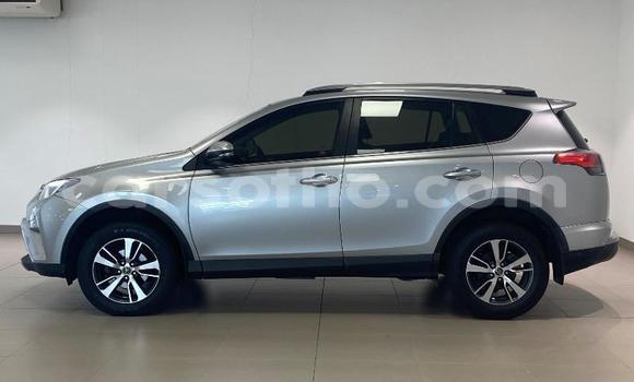 اشتري مستعمل Toyota RAV4 Silver سيارة في Maseru في Maseru اشتري مستعمل Toyota RAV4 Silver سيارة في Maseru في Maseru
