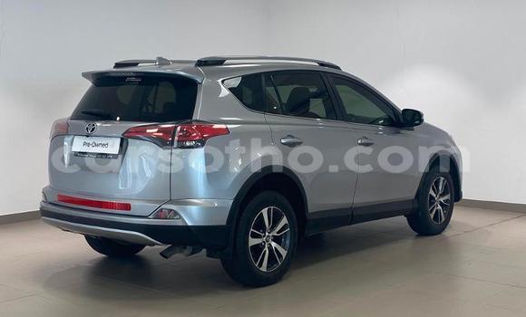 اشتري مستعمل Toyota RAV4 Silver سيارة في Maseru في Maseru اشتري مستعمل Toyota RAV4 Silver سيارة في Maseru في Maseru
