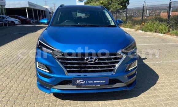 Buy Used Hyundai Tucson Blue Car in Maseru in Maseru Buy Used Hyundai Tucson Blue Car in Maseru in Maseru