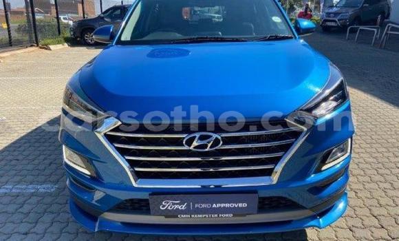 Buy Used Hyundai Tucson Blue Car in Maseru in Maseru Buy Used Hyundai Tucson Blue Car in Maseru in Maseru