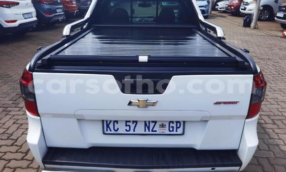 Buy Used Chevrolet Corsa White Car in Maseru in Maseru Buy Used Chevrolet Corsa White Car in Maseru in Maseru