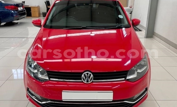 Buy Used Volkswagen Polo Red Car in Maseru in Maseru Buy Used Volkswagen Polo Red Car in Maseru in Maseru
