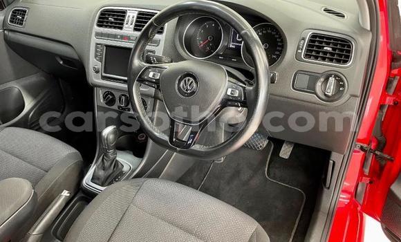 Buy Used Volkswagen Polo Red Car in Maseru in Maseru Buy Used Volkswagen Polo Red Car in Maseru in Maseru