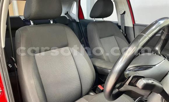 Buy Used Volkswagen Polo Red Car in Maseru in Maseru Buy Used Volkswagen Polo Red Car in Maseru in Maseru