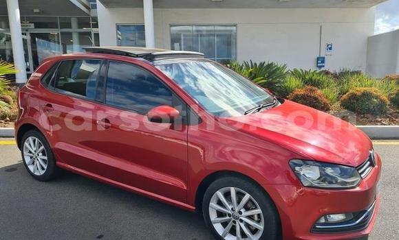 اشتري مستعمل Volkswagen Polo Red سيارة في Maseru في Maseru اشتري مستعمل Volkswagen Polo Red سيارة في Maseru في Maseru