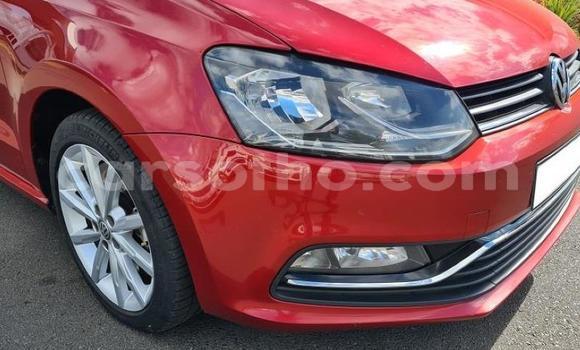 اشتري مستعمل Volkswagen Polo Red سيارة في Maseru في Maseru اشتري مستعمل Volkswagen Polo Red سيارة في Maseru في Maseru