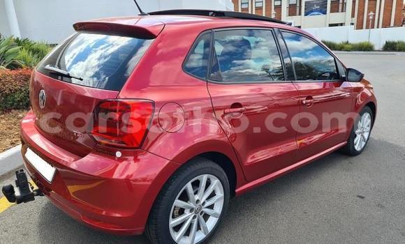 اشتري مستعمل Volkswagen Polo Red سيارة في Maseru في Maseru اشتري مستعمل Volkswagen Polo Red سيارة في Maseru في Maseru