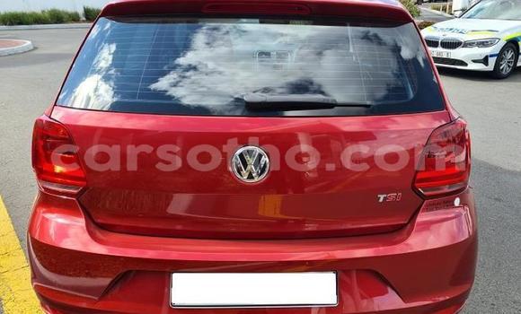 اشتري مستعمل Volkswagen Polo Red سيارة في Maseru في Maseru اشتري مستعمل Volkswagen Polo Red سيارة في Maseru في Maseru