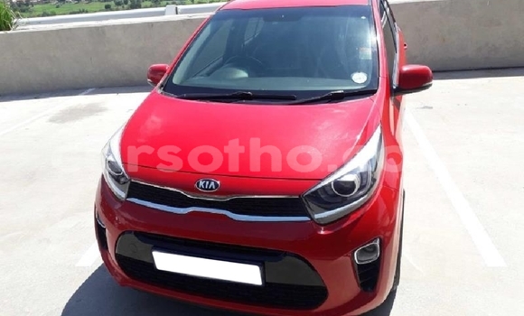 Acheter Occasion Voiture Kia Picanto Rouge à Maputsoe, Leribe Acheter Occasion Voiture Kia Picanto Rouge à Maputsoe, Leribe