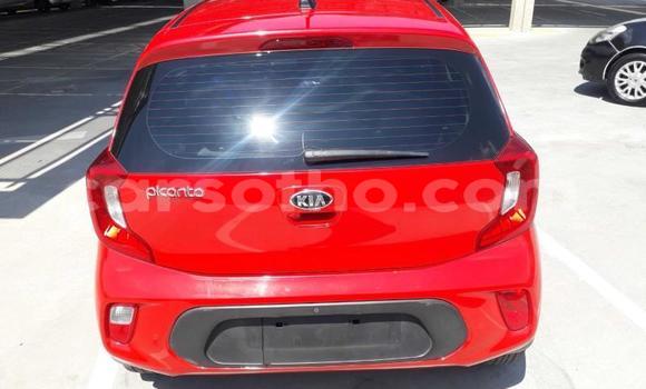 Acheter Occasion Voiture Kia Picanto Rouge à Maputsoe, Leribe Acheter Occasion Voiture Kia Picanto Rouge à Maputsoe, Leribe