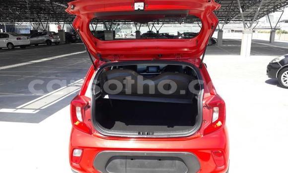 Acheter Occasion Voiture Kia Picanto Rouge à Maputsoe, Leribe Acheter Occasion Voiture Kia Picanto Rouge à Maputsoe, Leribe