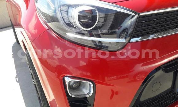 Acheter Occasion Voiture Kia Picanto Rouge à Maputsoe, Leribe Acheter Occasion Voiture Kia Picanto Rouge à Maputsoe, Leribe