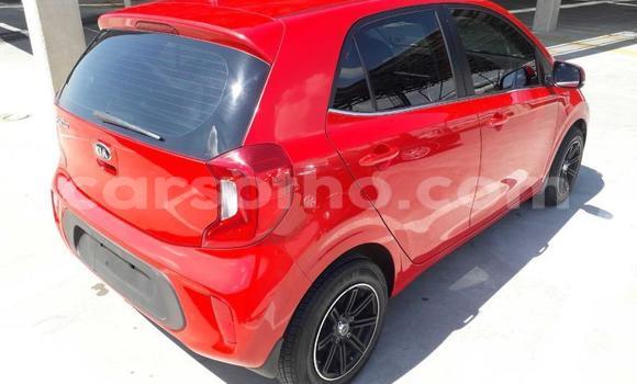 Acheter Occasion Voiture Kia Picanto Rouge à Maputsoe, Leribe Acheter Occasion Voiture Kia Picanto Rouge à Maputsoe, Leribe
