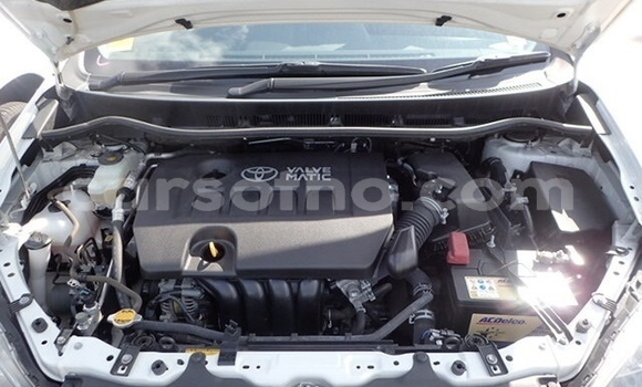 Buy Used Toyota Hilux White Car in Maseru in Maseru Buy Used Toyota Hilux White Car in Maseru in Maseru