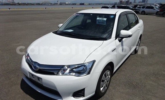 Buy Used Toyota Axio White Car in Maseru in Maseru Buy Used Toyota Axio White Car in Maseru in Maseru