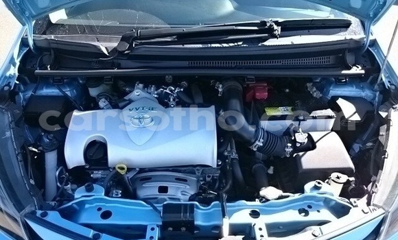 Buy Used Toyota Vitz Blue Car in Maseru in Maseru Buy Used Toyota Vitz Blue Car in Maseru in Maseru
