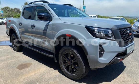 اشتري مستعمل Nissan Navara Silver سيارة في Maseru في Maseru اشتري مستعمل Nissan Navara Silver سيارة في Maseru في Maseru