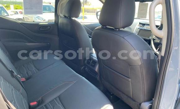 اشتري مستعمل Nissan Navara Silver سيارة في Maseru في Maseru اشتري مستعمل Nissan Navara Silver سيارة في Maseru في Maseru