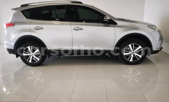 Buy Used Toyota RAV4 Silver Car in Maseru in Maseru Buy Used Toyota RAV4 Silver Car in Maseru in Maseru