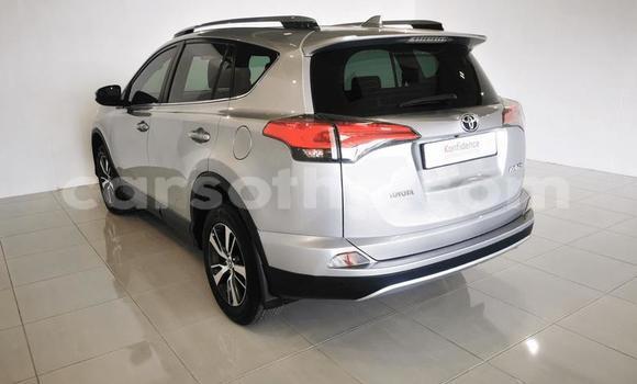 Buy Used Toyota RAV4 Silver Car in Maseru in Maseru Buy Used Toyota RAV4 Silver Car in Maseru in Maseru