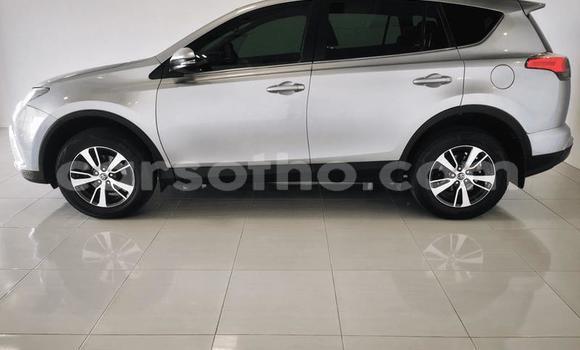 Buy Used Toyota RAV4 Silver Car in Maseru in Maseru Buy Used Toyota RAV4 Silver Car in Maseru in Maseru