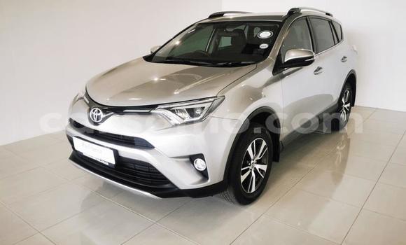 Buy Used Toyota RAV4 Silver Car in Maseru in Maseru Buy Used Toyota RAV4 Silver Car in Maseru in Maseru