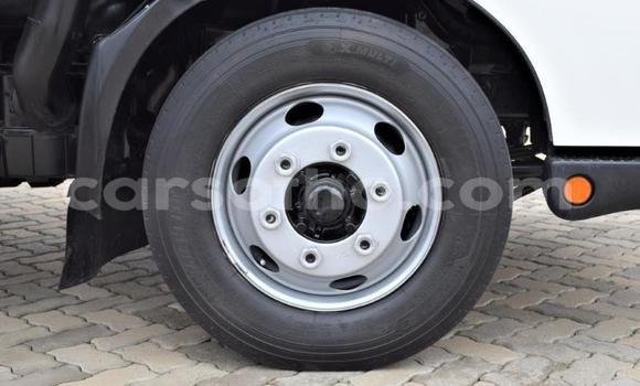 Buy Used Hino 300 Series White Truck in Maseru in Maseru Buy Used Hino 300 Series White Truck in Maseru in Maseru