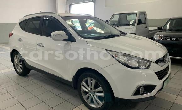 Sayi Na hannu Nissan X–Trail White Mota in Maseru a Maseru Sayi Na hannu Nissan X–Trail White Mota in Maseru a Maseru